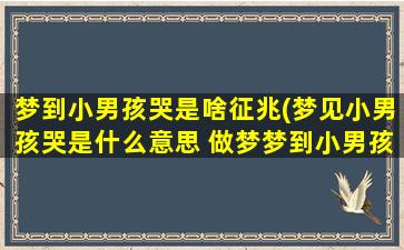 梦到小男孩哭是啥征兆(梦见小男孩哭是什么意思 做梦梦到小男孩哭好不好)